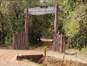 Bhimgad Adventure Camp- Jungle Lodges - Image 1
