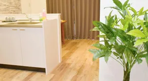CoCo Class - Image 5