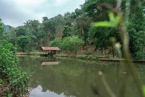 Secluza Resort - Image 5