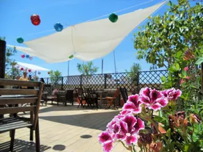 New Samay Hostel - Image 4