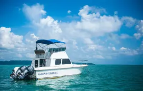 Wild Orchid Resort - Havelock Island - Image 5