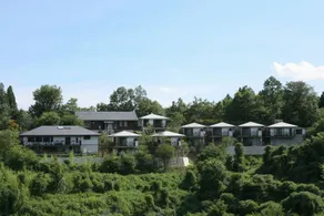 Yufuin Tsubaki - Image 4