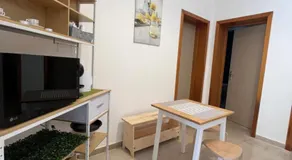 Ulivo - Image 3