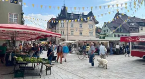 Holz & Hirsch Loft - Parkplatz und Hund - Image 5