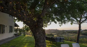 Il Mandorlo - Agriturismo e Azienda Agricola Ferrato - Image 2