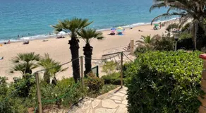 Miami-Playa - Image 5