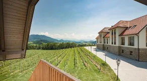 Weingut Taggenbrunn - Image 4