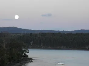 Tamar River Retreat - Image 4