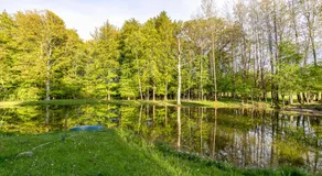 Björkeslund - Image 5