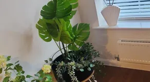 Glamshouse - Image 5
