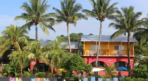 Casa Nostra - Image 5