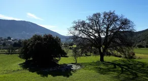 Mesoloras Valley View - Image 5