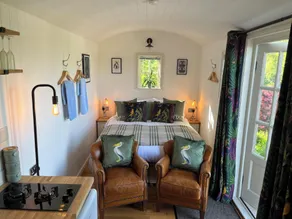 BroomBush - Image 2