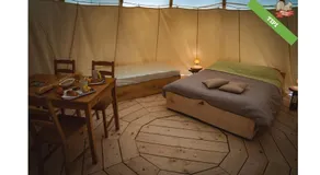 Woody Park - Image 2