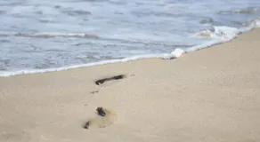 Inn Between Waves - Image 3