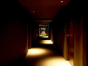 remm Shin-Osaka - Image 5