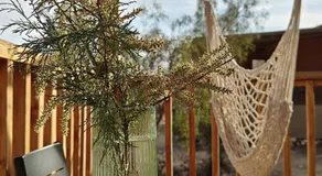 DESERT Ezuz - Image 4
