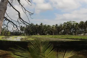 Vihaan Villa Ubud - Image 2