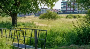 B&B De Boskamp - Image 5