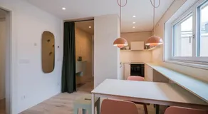 stella alpina - Image 2