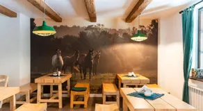 Pokoje Gościnne Cheval - Image 4