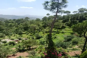 OYO Home Satyam Home Stay - Image 4