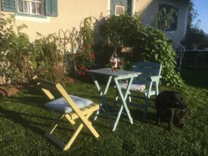 Kellerstoeckl-am-veganen-Bio-Lebenshof-nur-fuer-Hundefreunde-empfohlen - Image 2
