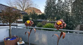 Pension Wolkenrasen - Image 5