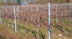 Gasthaus Krone - Image 2