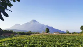 Avila Ketapan Rame Hotel - Image 1