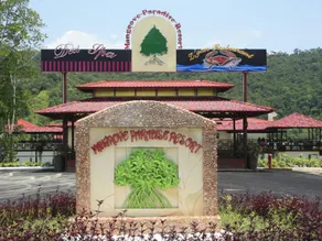 Mangrove Paradise Resort - Image 3