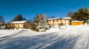 Les Genêts du Sancy - Image 5