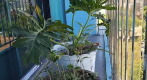 Phương Đông Huế Homestay - Image 4