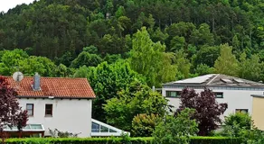 Fewo Höhbergblick - Image 5