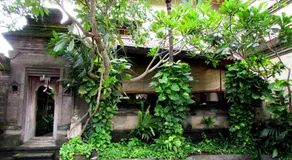 Griya Ayu Inn - Image 4