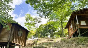 Uenodai Midorinomura - Vacation STAY 27894v - Image 3