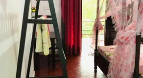 Lucky Star - Image 2