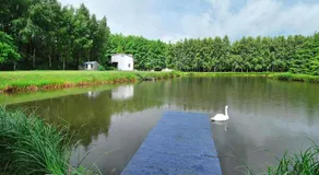 Holiday home by the pond, near Kolobrzeg - Image 5