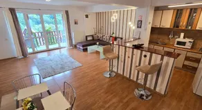 Sinaia Alex Apartments - Image 3