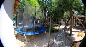 Vila Casa Leul - Image 5