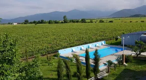 Shaloshvili's Cellar Hotel - Image 5