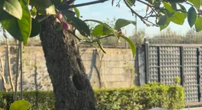 3 Roots Villa - Image 5