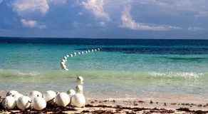 Sol Mar Villa - Image 5
