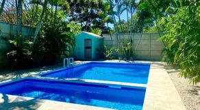 El Papagayo Verde 5 min walk to the beach and downtown - Image 3