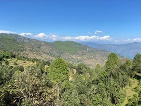 Himdarshan Homestay - Image 5