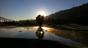 Hotel Pension Berghof - Image 4
