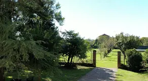 Agriturismo VENICE VILLA CRICO - Image 5
