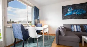 Bright Apartment with Balcony near Messe - Special BLUE TIGER Apartment, Basel, up to 4 guests - Image 3