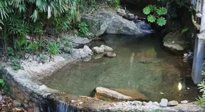Paraiso em sao conrado - Image 4