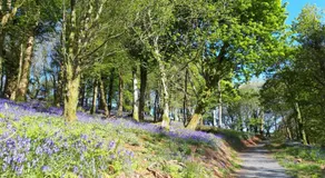 Corsewall Arms Guest House - Image 5